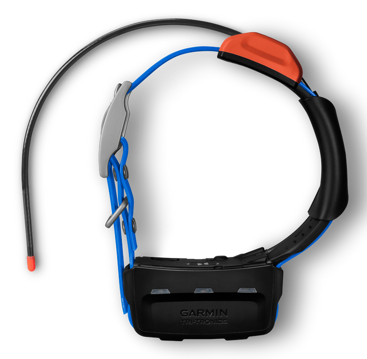 Garmin T5X GPS Dog Collar with Blue Finish